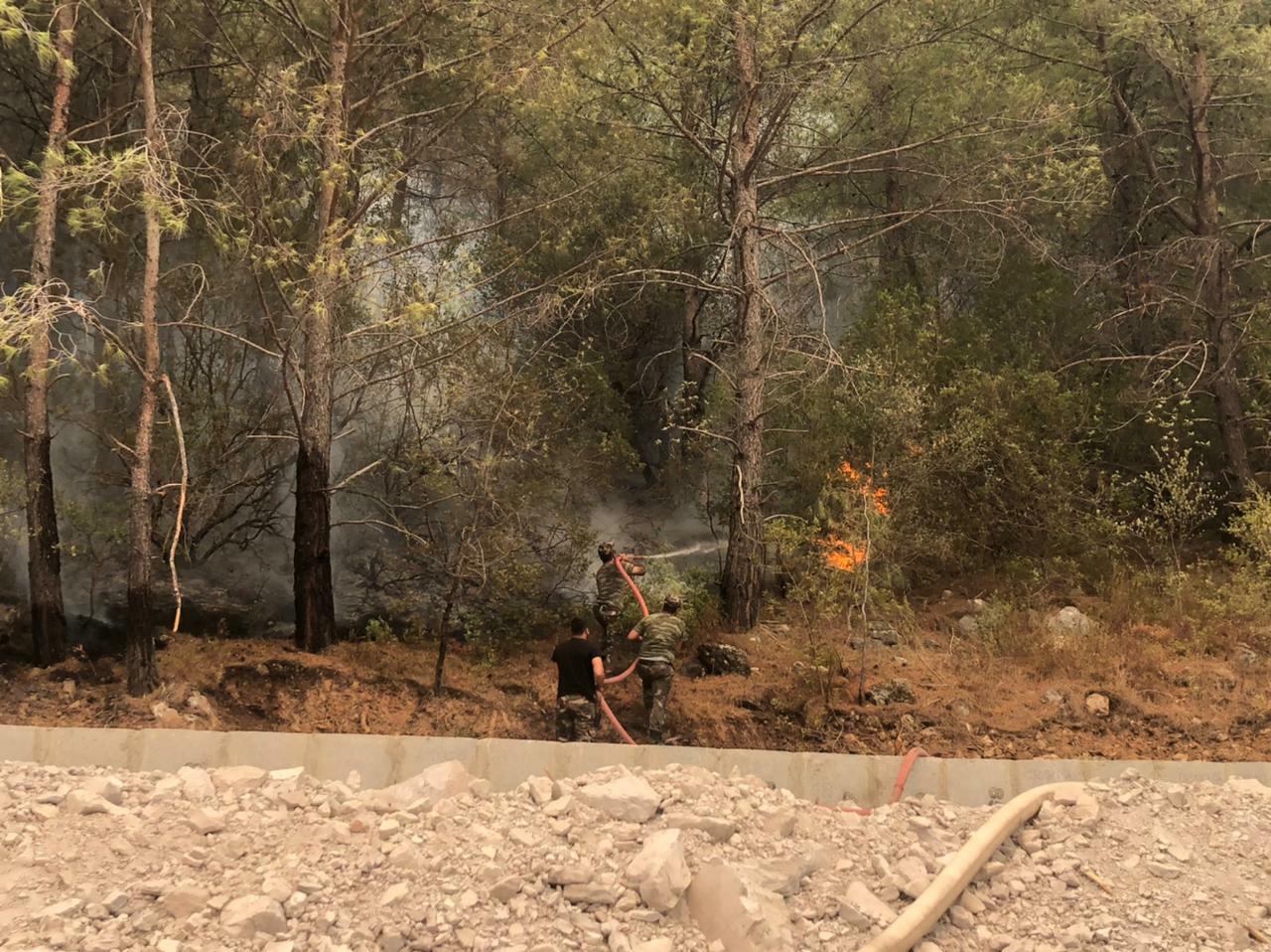 Азербайджанские пожарные локализовали крупные лесные пожары в Турции