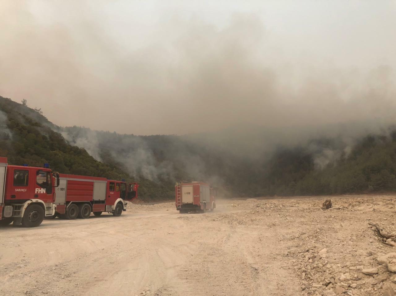 Азербайджанские пожарные локализовали крупные лесные пожары в Турции