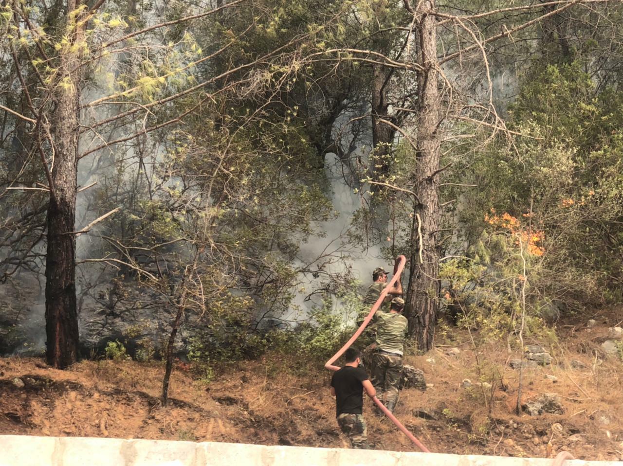 Азербайджанские пожарные локализовали крупные лесные пожары в Турции