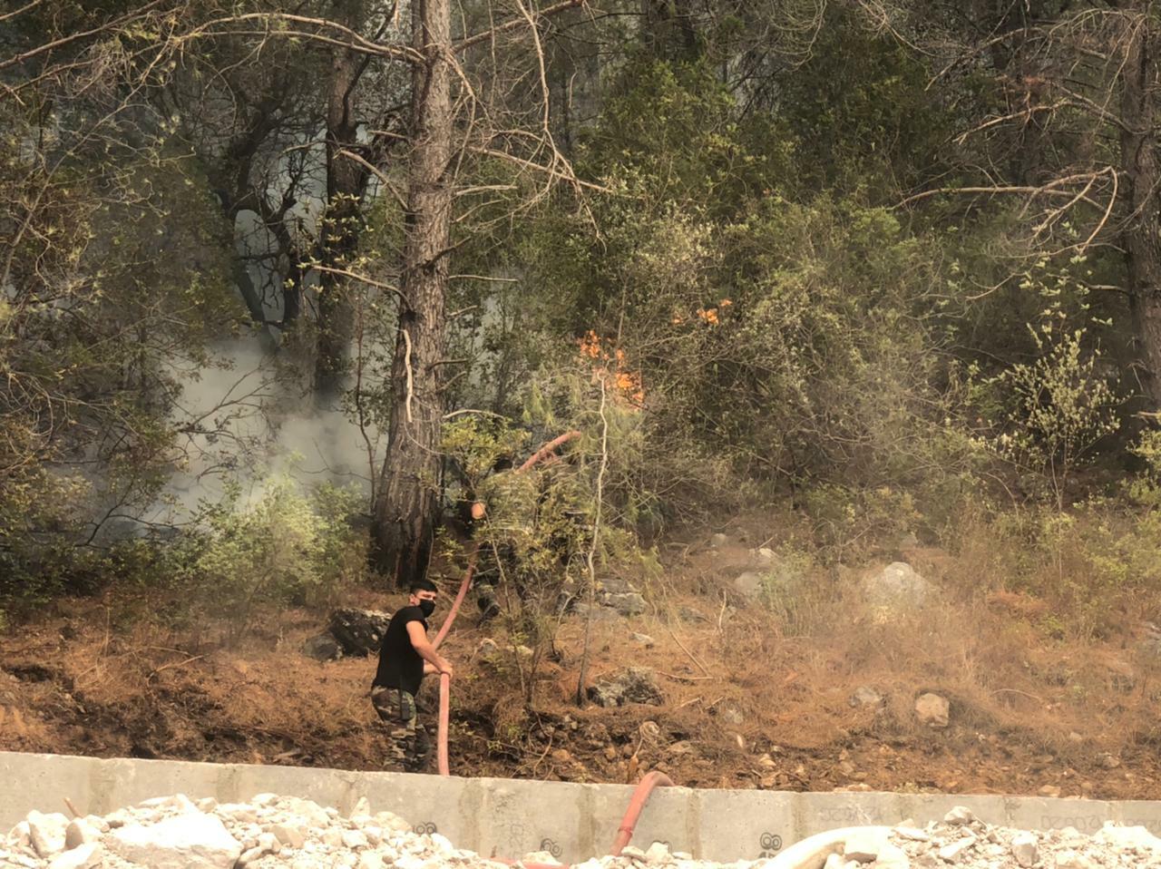 Азербайджанские пожарные локализовали крупные лесные пожары в Турции