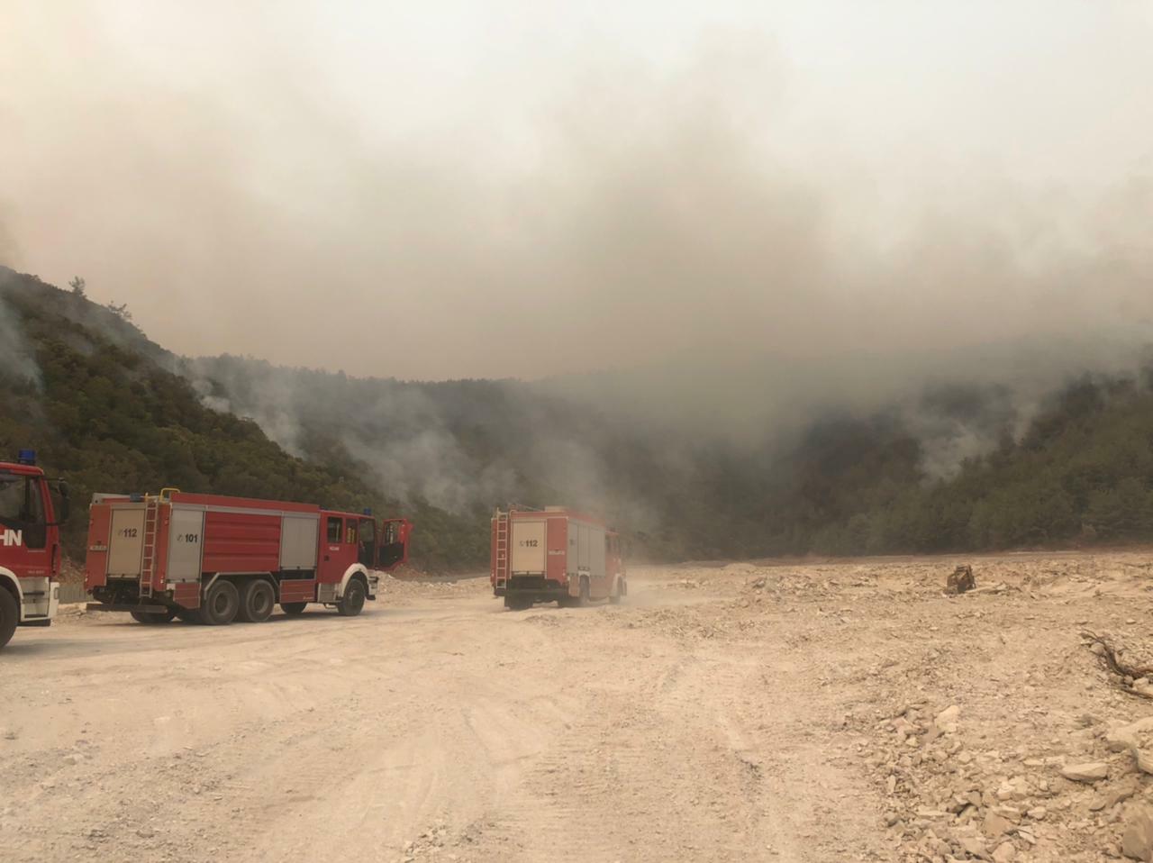 Азербайджанские пожарные локализовали крупные лесные пожары в Турции