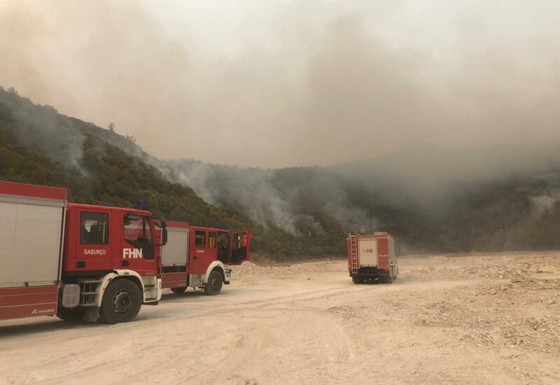 Азербайджанские пожарные локализовали крупные лесные пожары в Турции