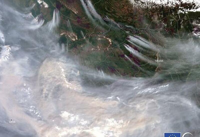 Лесные пожары ускоряют таяние вечной мерзлоты в России