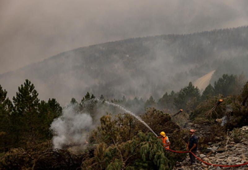 Назван самый пострадавший от пожаров регион Турции