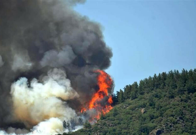 Пожары продолжаются в 13 местах 5 провинций Турции