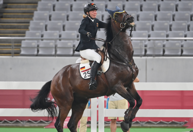 Зоозащитники потребовали убрать конный спорт с Олимпиады