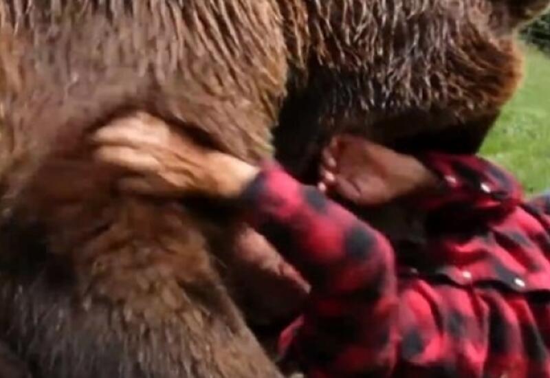 На Аляске пилот спас группу туристов от огромного медведя гризли