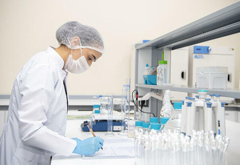 “Tədbir görməsək, sentyabrda..."