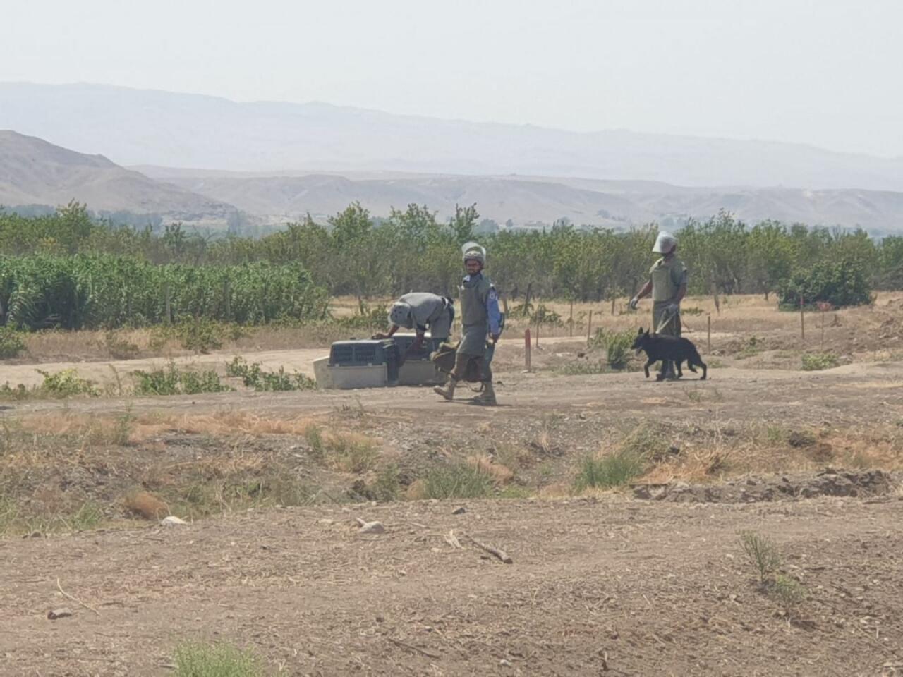 Израильские журналисты стали свидетелями разминирования на освобожденных территориях Азербайджана