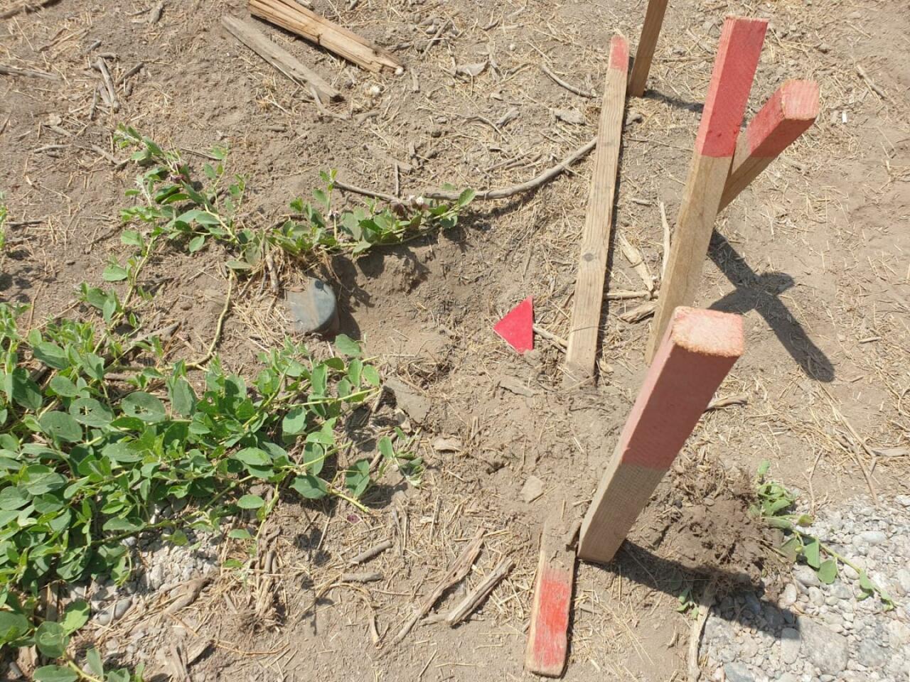 Израильские журналисты стали свидетелями разминирования на освобожденных территориях Азербайджана