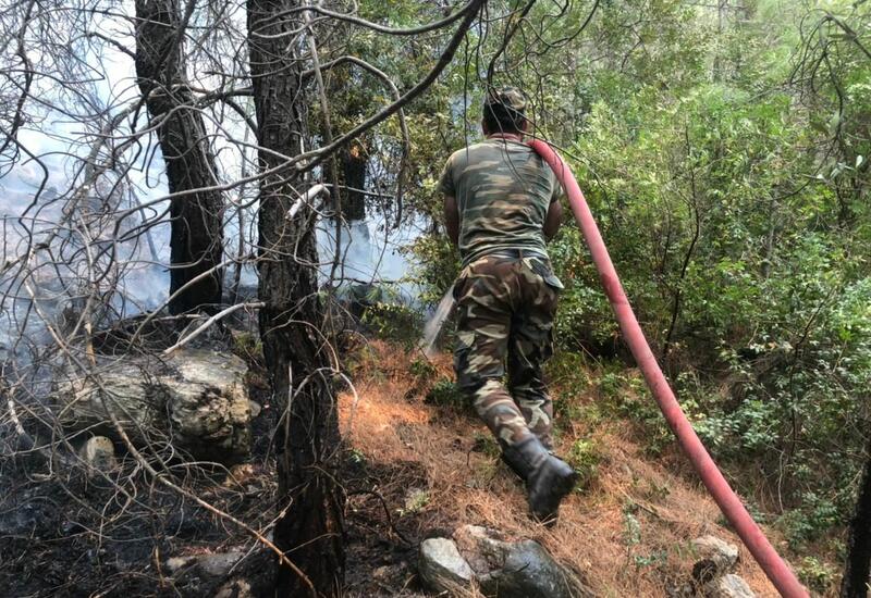 Hazırda Türkiyədə yanğının söndürüldüyü bölgələrdə əməkdaşlarımız mühafizə xidməti aparırlar