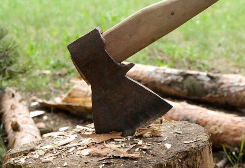 Qanunsuz ağac kəsən 3 nəfər saxlanılıb