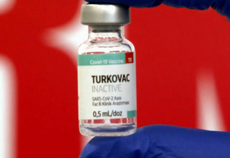В Азербайджане может быть протестирована вакцина TURKOVAC