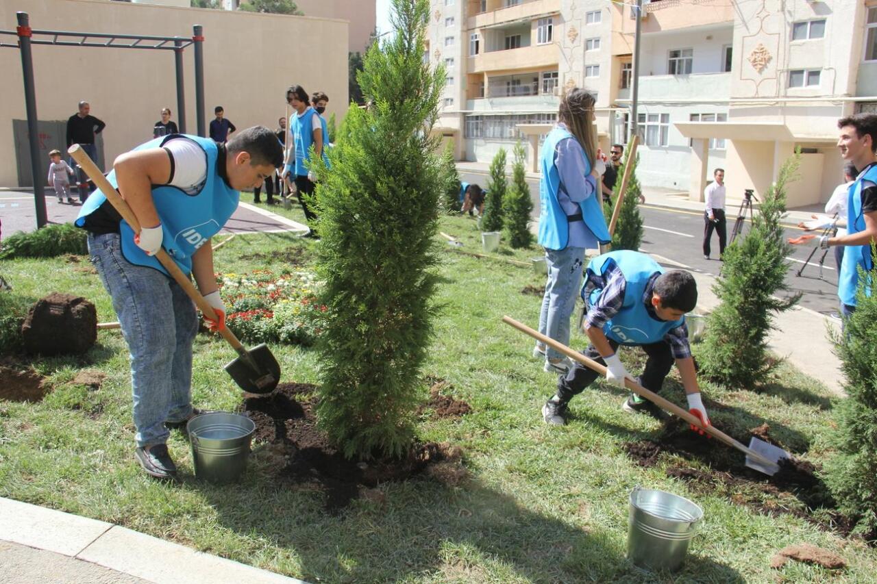 Paytaxtda abadlaşdırılan növbəti həyət sakinlərin istifadəsinə verilib
