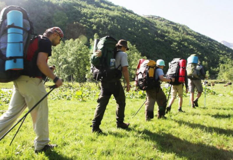 Новый тренд, возникший в связи с пандемией, зафиксирован в туризме