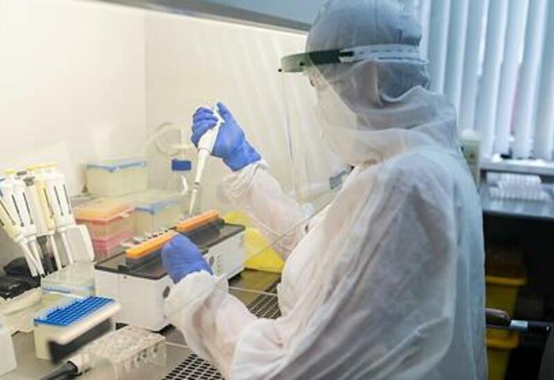 В России начали исследовать одновременную вакцинацию от гриппа и COVID-19
