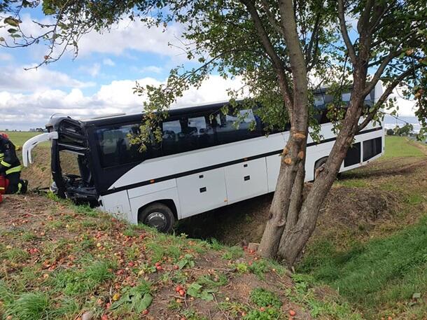 В Польше автобус с десятками детей слетел в кювет