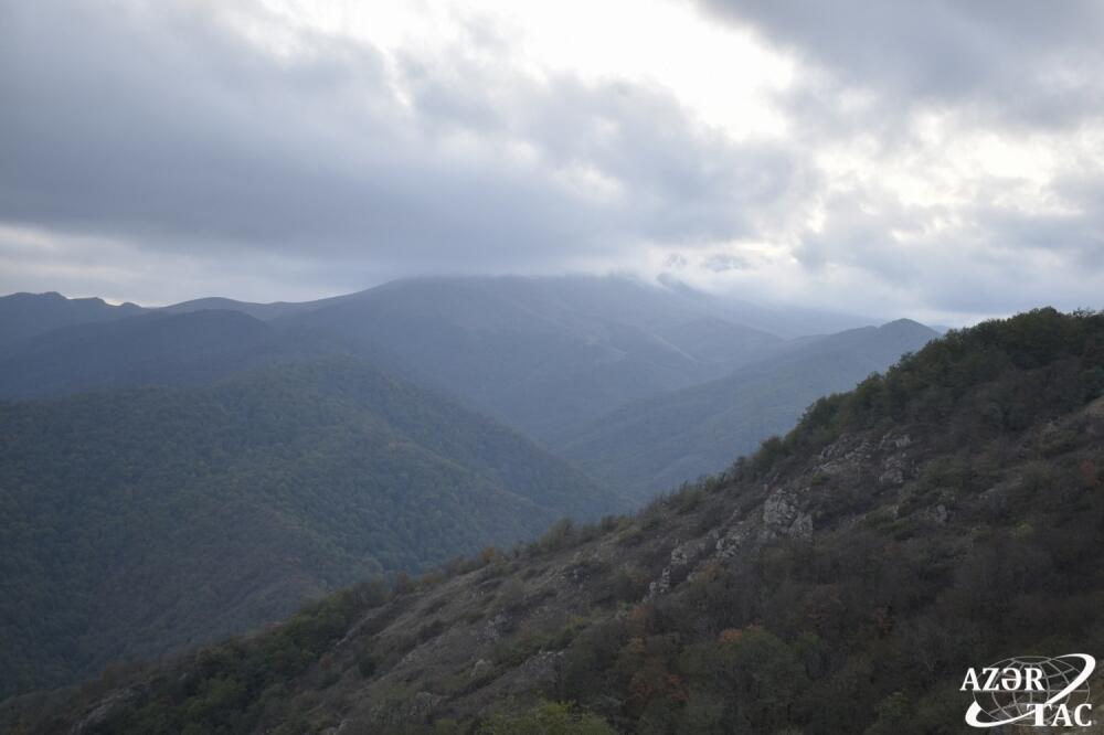 “Zəfər yolu”ndan açılan təbiət mənzərələri