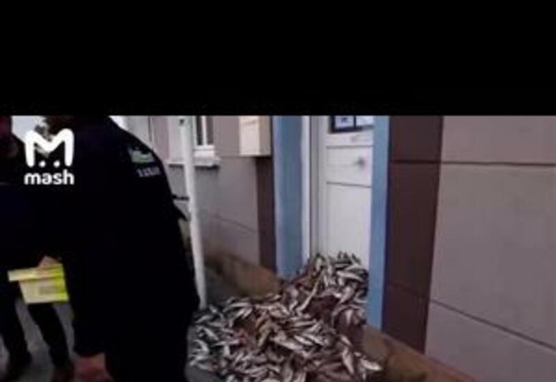 Протестующие во Франции закидали двери администрации рыбой