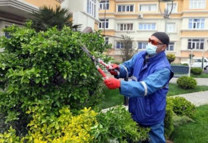 В Азербайджане по программе оплачиваемых общественных работ трудоустроены более 50 тыс. человек
