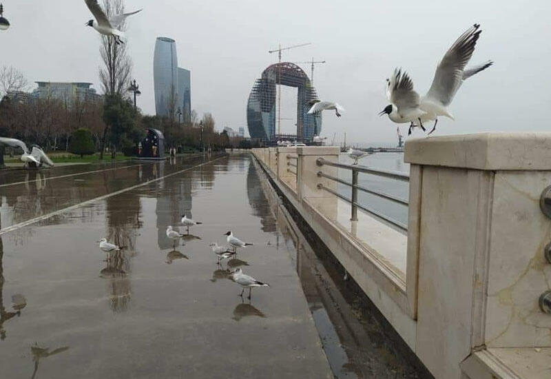 Какой погоды ждать завтра?