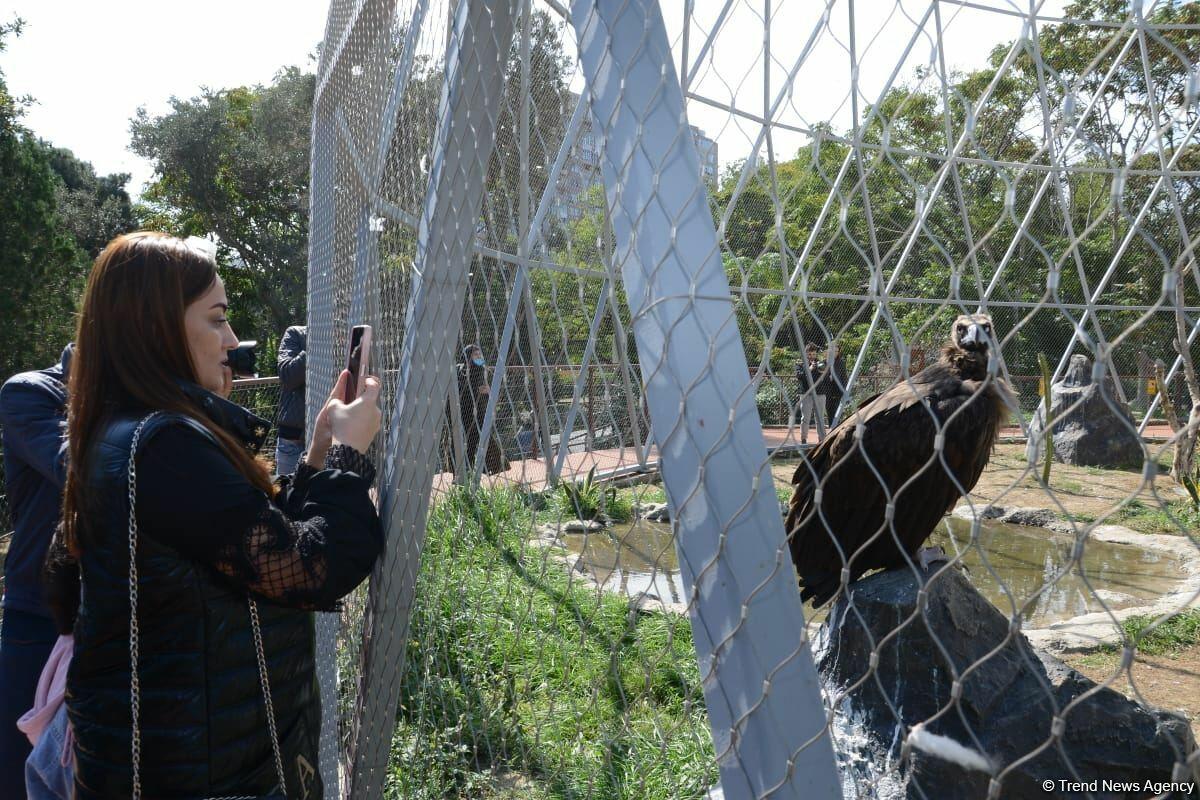 Первыми посетителями Бакинского зоопарка стали дети шехидов и воспитанники детдомов
