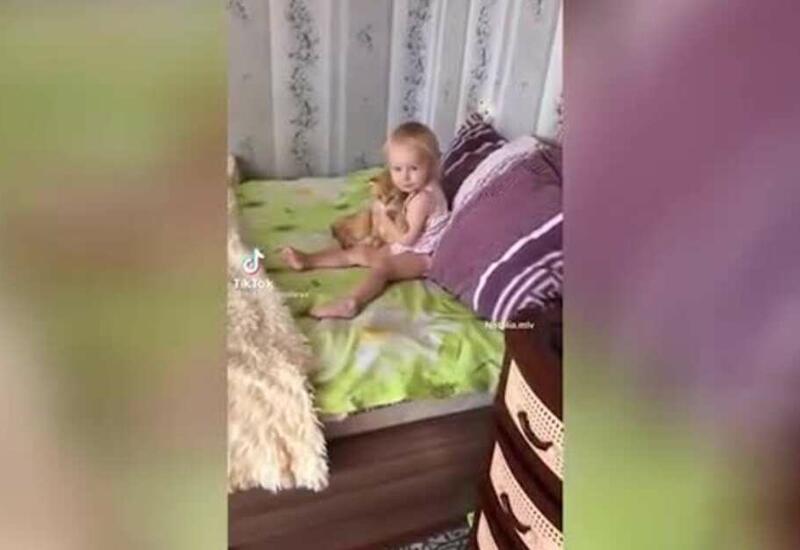 "Давай бояться вместе": реакция девочки и кота на пылесос умилила Сеть
