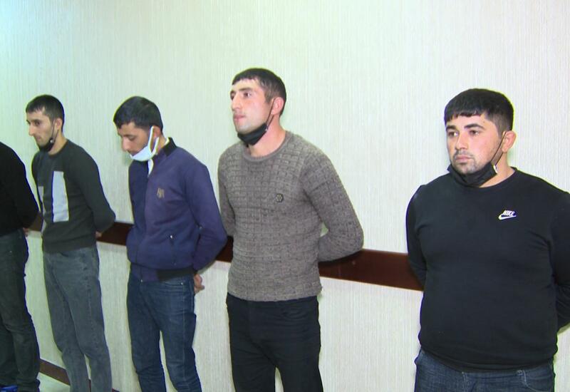 Задержаны организаторы собачьих боев