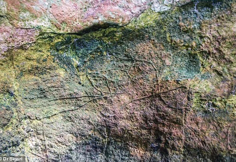 В итальянской пещере найден необычный рисунок птичьей головы времен палеолита