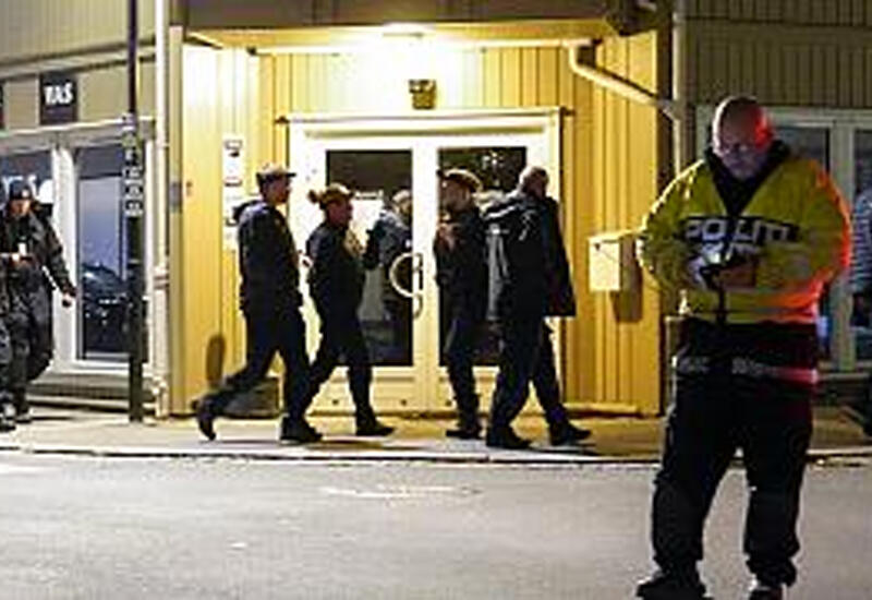 Стала известна национальность лучника, убившего 5 человек в Норвегии