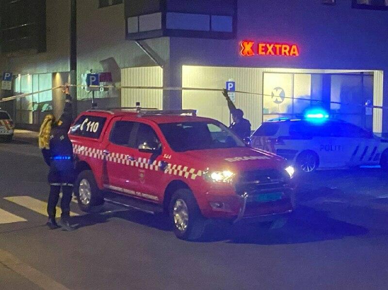 В Норвегии мужчина, вооружённый луком и стрелами, убил и ранил несколько человек