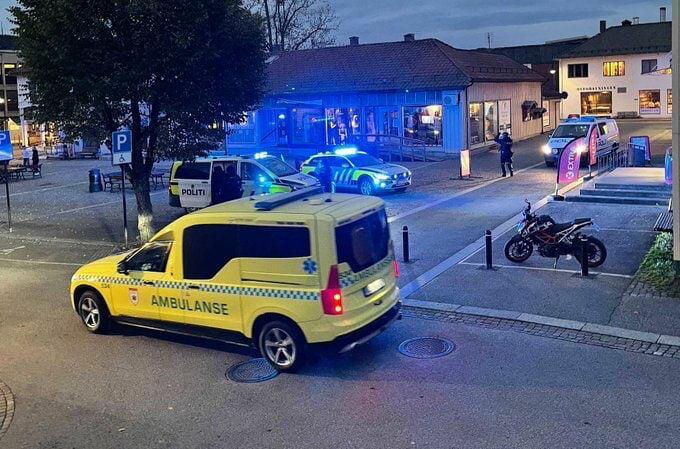 В Норвегии мужчина, вооружённый луком и стрелами, убил и ранил несколько человек