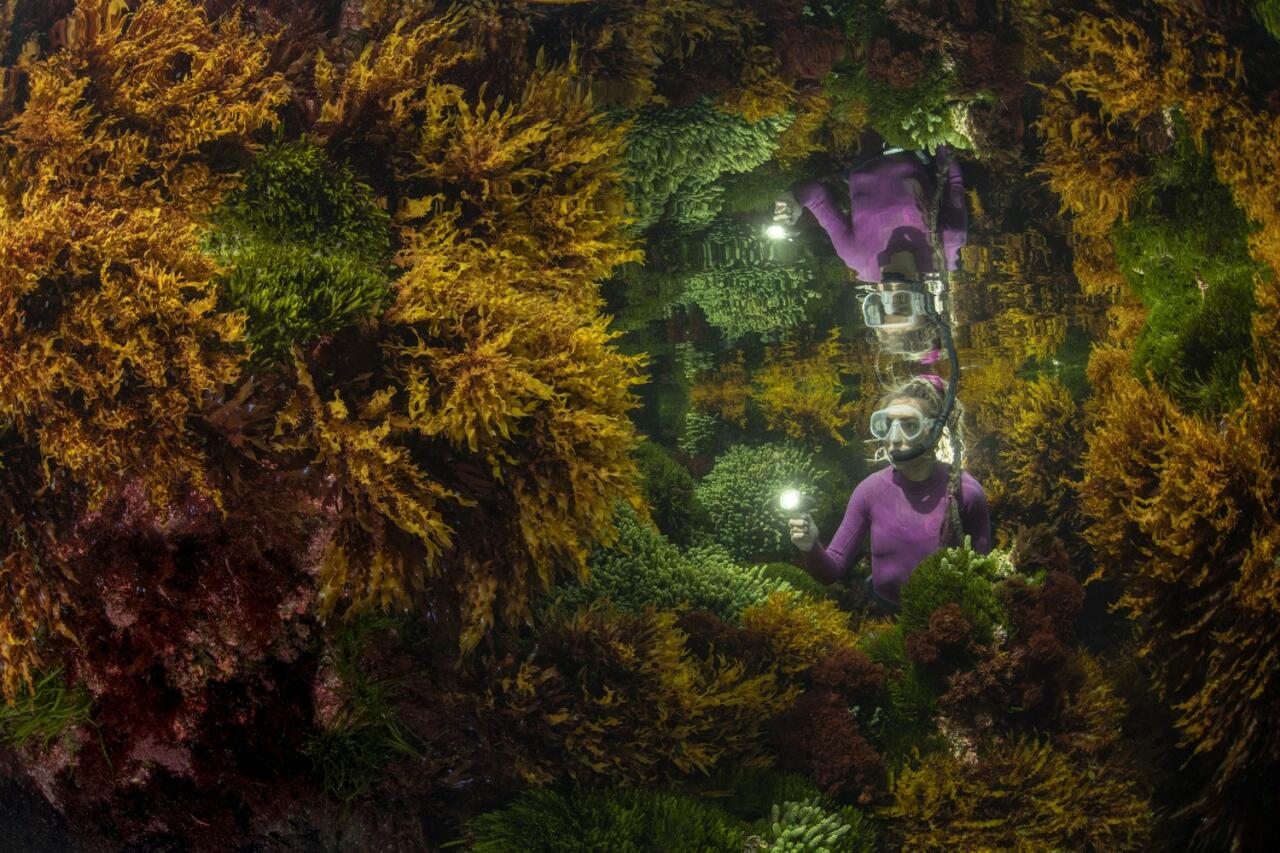 Победители Wildlife Photographer of the Year-2021