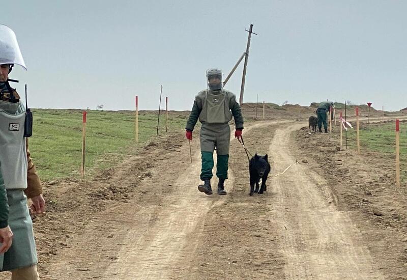 Азербайджан и Франция подпишут документ в связи с разминированием освобожденных территорий