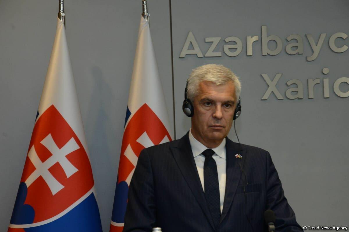 В Баку прошла совместная пресс-конференция глав МИД Азербайджана и Словакии