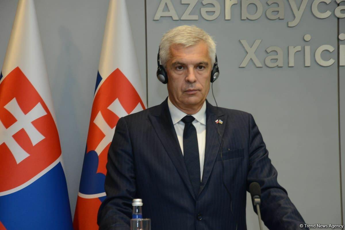 В Баку прошла совместная пресс-конференция глав МИД Азербайджана и Словакии
