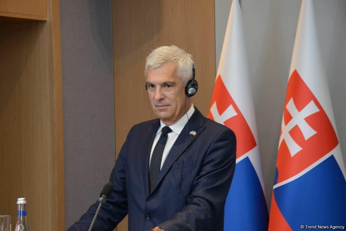 В Баку прошла совместная пресс-конференция глав МИД Азербайджана и Словакии