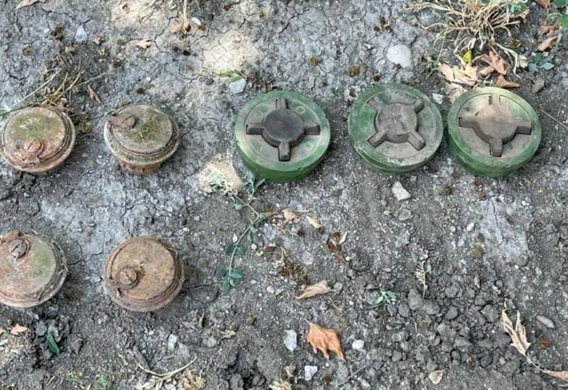 В Зангилане обнаружено около 60 тысяч патронов, брошенных армянами