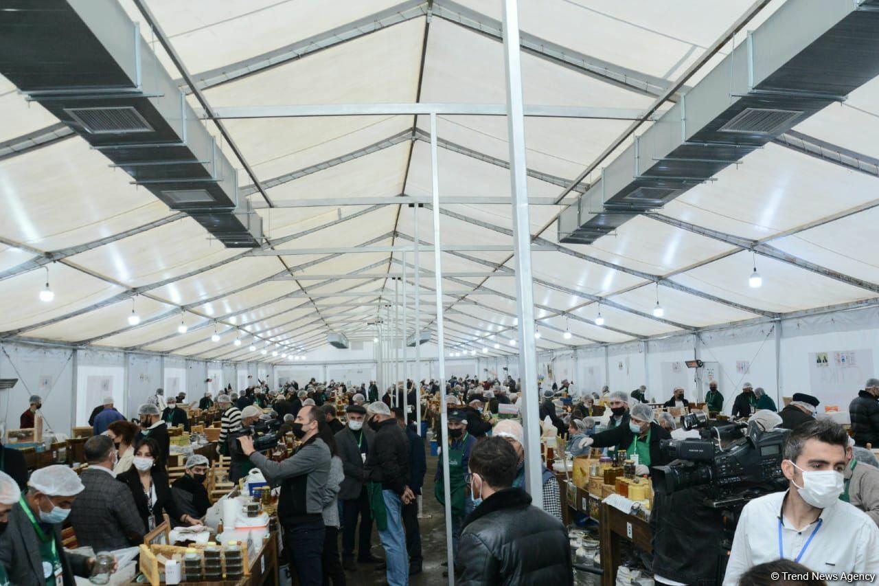 В Баку открылась ярмарка меда