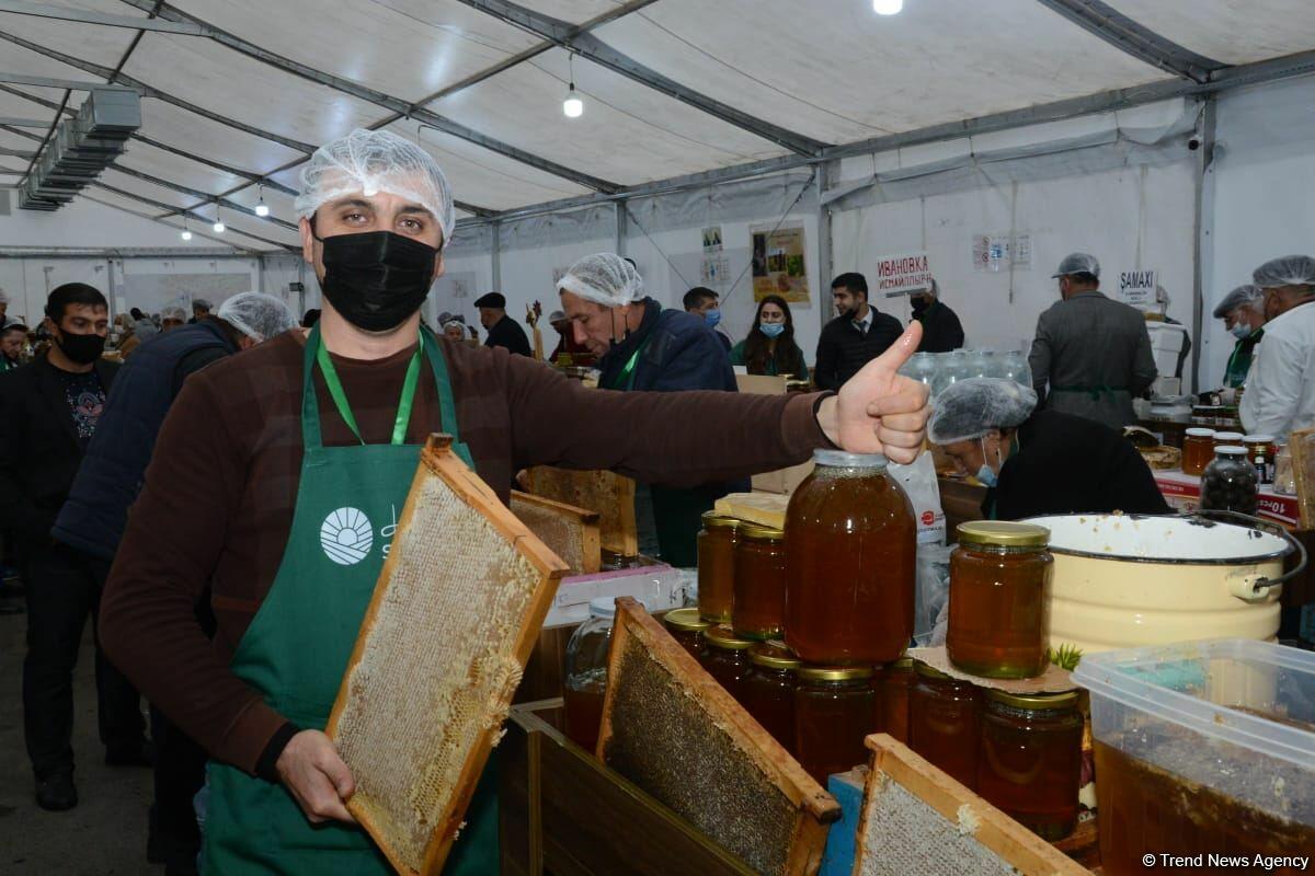 В Баку открылась ярмарка меда