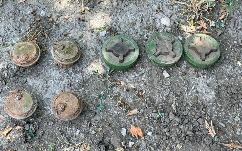 В Зангилане обнаружено около 60 тысяч патронов, брошенных армянами