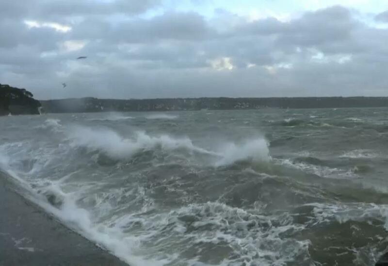 Во Франции подсчитывают ущерб, нанесенный ураганом