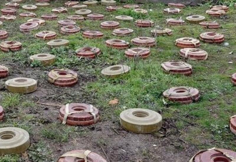 Подведены итоги работ по разминированию в Карабахе за ноябрь