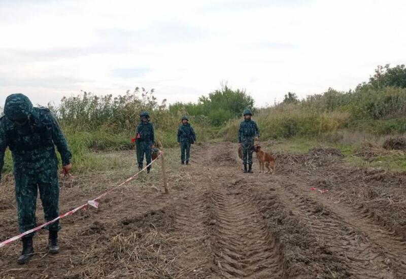 В ГПС Азербайджана назвали количество мин и боеприпасов, обнаруженных на освобожденных приграничных территориях
