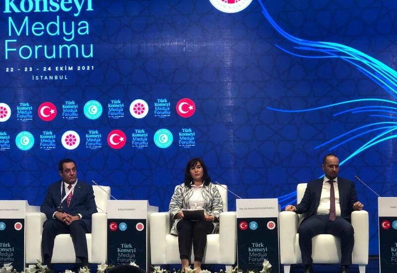 Проект TURKIC.World представлен на медиа-форуме Тюркского совета в Стамбуле