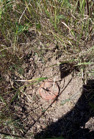 В ГПС Азербайджана назвали количество мин и боеприпасов, обнаруженных на освобожденных приграничных территориях