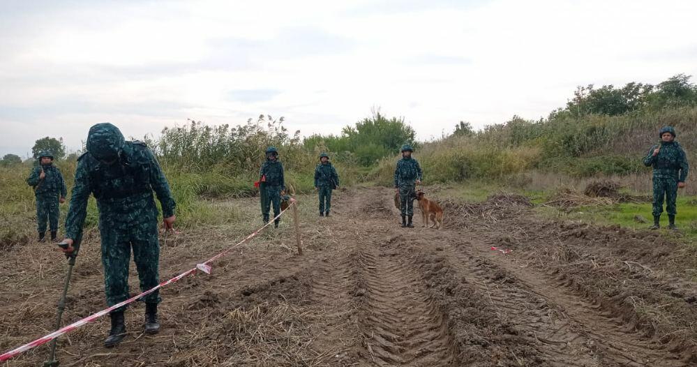 В ГПС Азербайджана назвали количество мин и боеприпасов, обнаруженных на освобожденных приграничных территориях