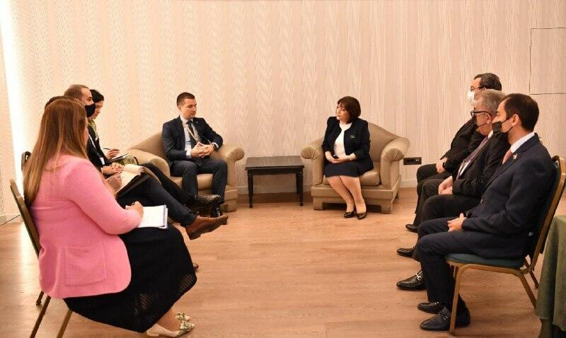 Сахиба Гафарова встретилась с председателем парламента Черногории