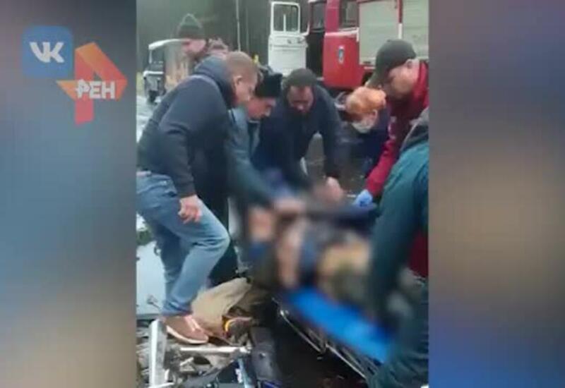 Вырванное ветром дерево прибило водителя мопеда в России