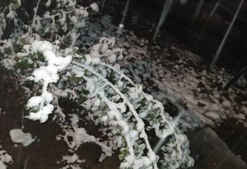 Azərbaycanın şimal bölgəsinə ilk qar yağdı
